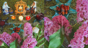سفره هفت سین و شور عشق