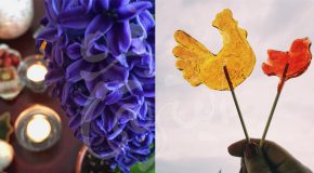 آرزوی سالی به شیرینی خروس قندی و عطر سنبل